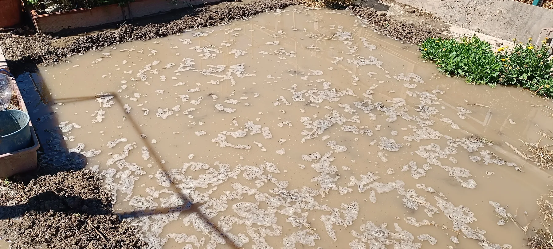 Zona inundada del huerto