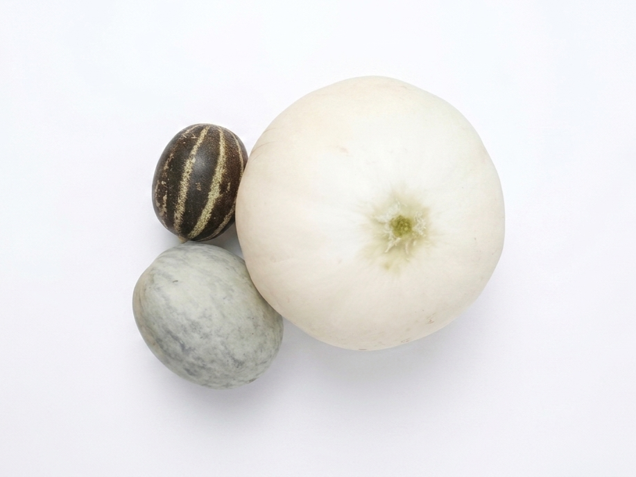 Melón Salduie, híbrido experimental nacido de la convivencia de Ho Chi Minh y Cantaline