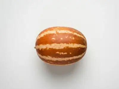 Melone Ho Chi Minh maturo, con la caratteristica colorazione