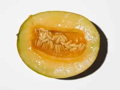 Melone Salduie tagliato che mostra l'interno del frutto