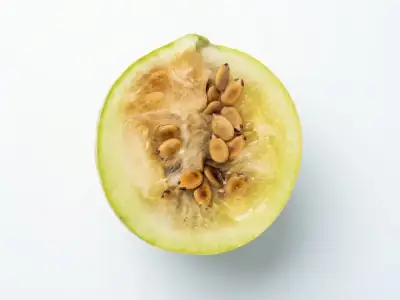 Innenansicht des reifen Wassermelonenexemplars