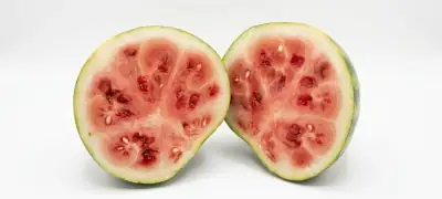 منظر داخلي للبطيخ