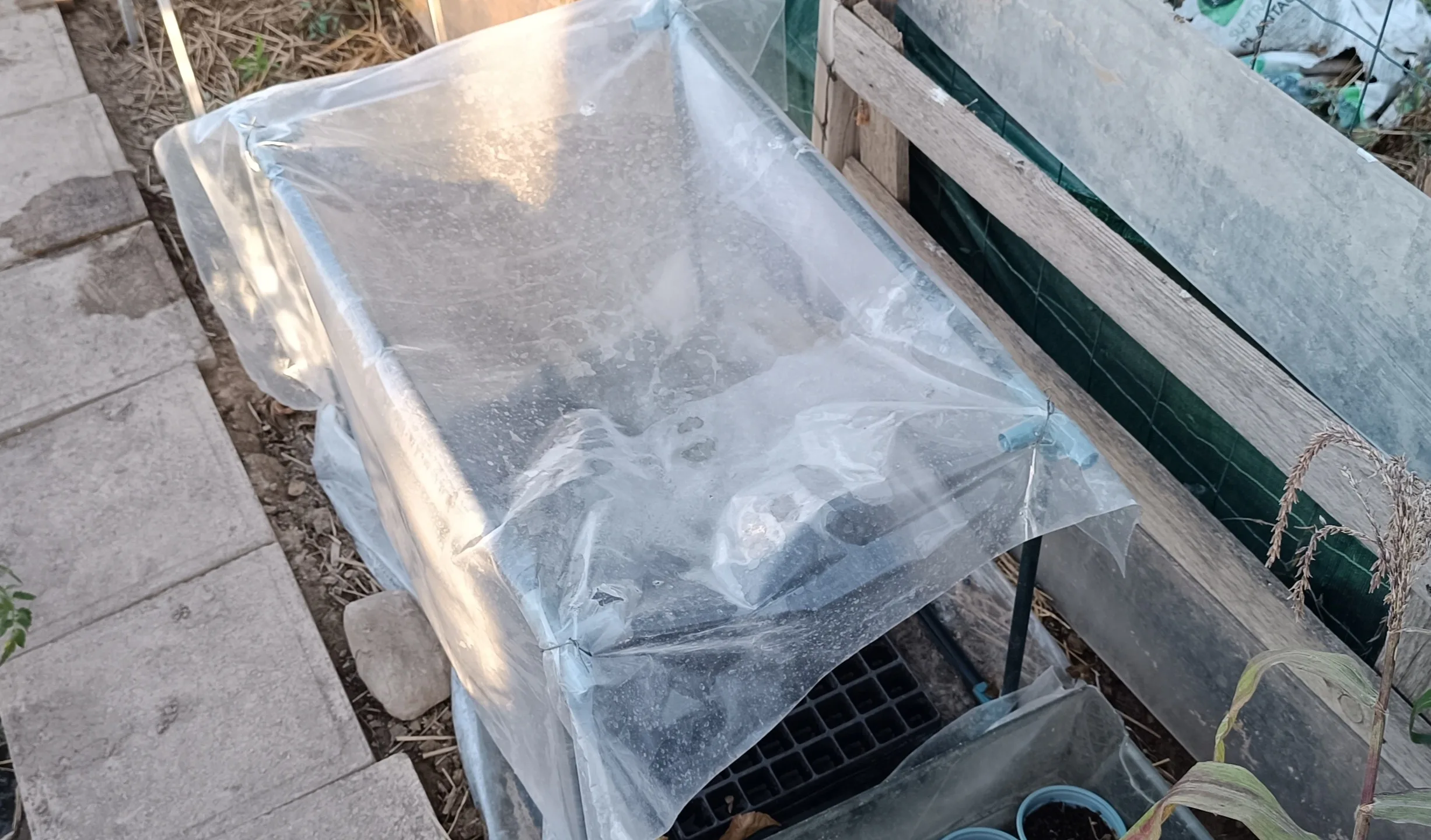 Mini invernadero improvisado en el exterior con los semilleros